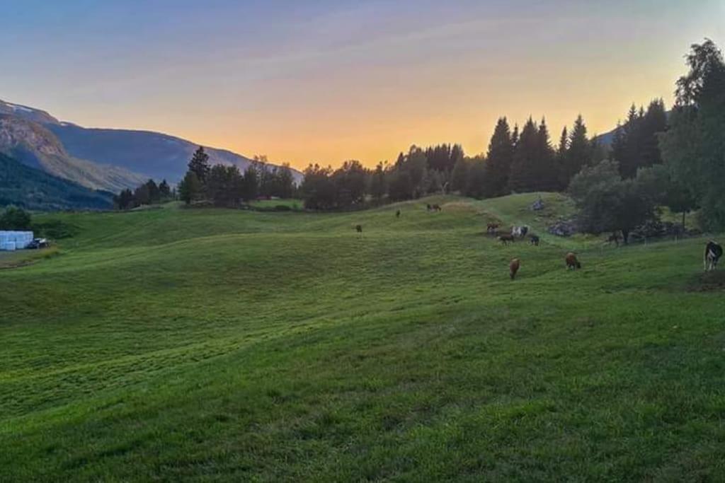 Holiday Home Among The Pearls Of Norway 斯特兰达 外观 照片