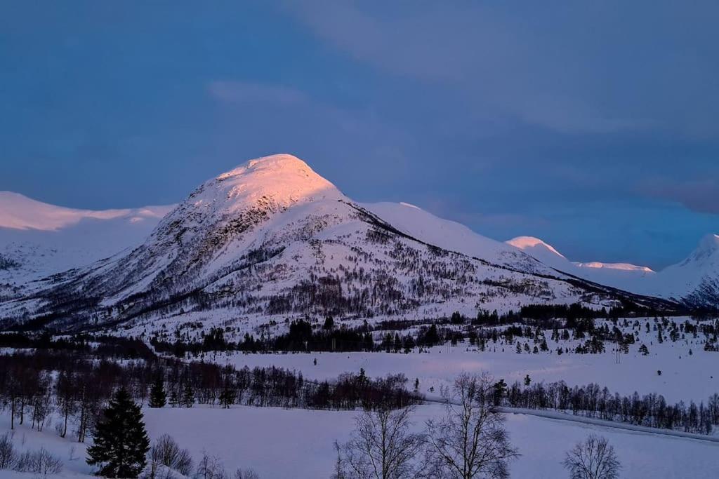 Holiday Home Among The Pearls Of Norway 斯特兰达 外观 照片