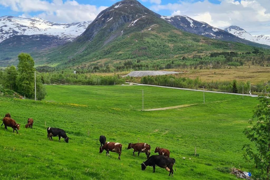 Holiday Home Among The Pearls Of Norway 斯特兰达 外观 照片