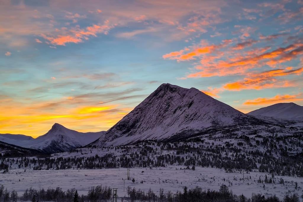 Holiday Home Among The Pearls Of Norway 斯特兰达 外观 照片