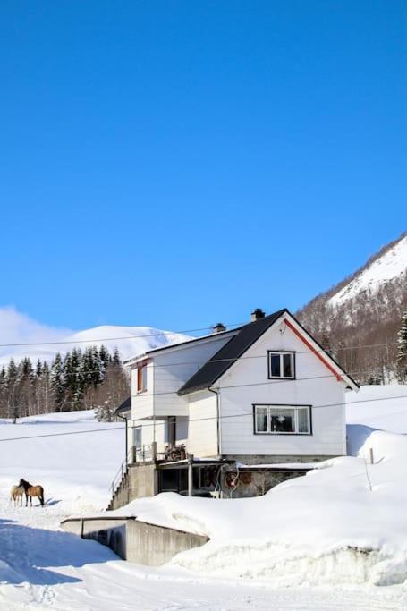 Holiday Home Among The Pearls Of Norway 斯特兰达 外观 照片
