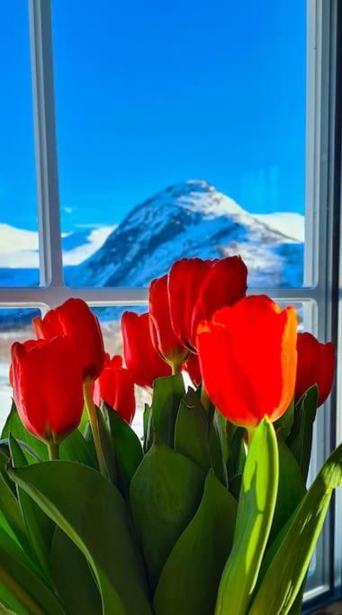 Holiday Home Among The Pearls Of Norway 斯特兰达 外观 照片
