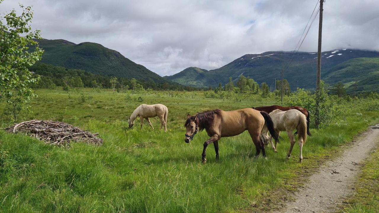 Holiday Home Among The Pearls Of Norway 斯特兰达 外观 照片