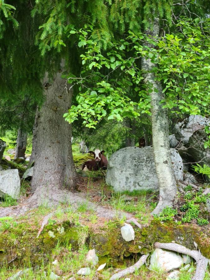 Holiday Home Among The Pearls Of Norway 斯特兰达 外观 照片