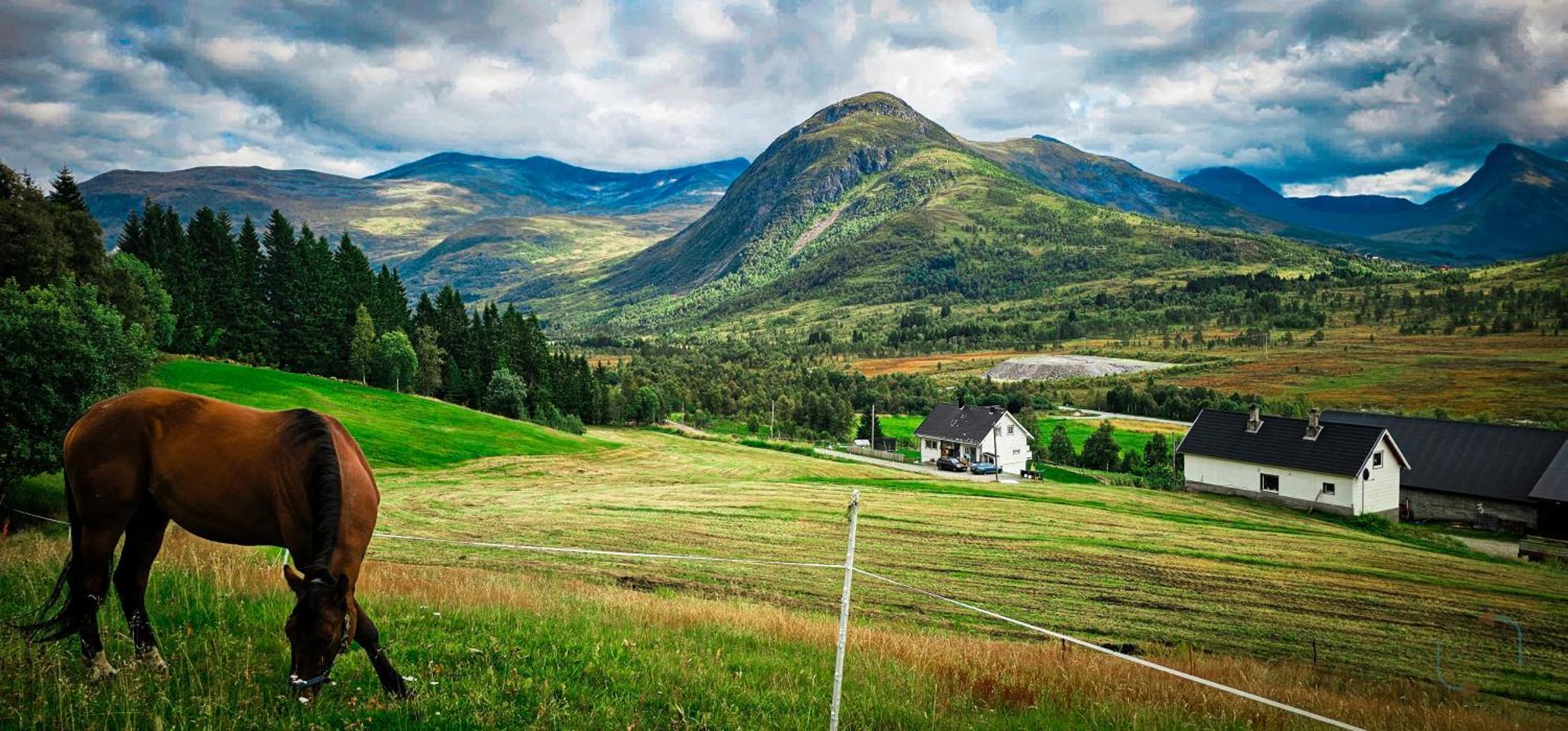 Holiday Home Among The Pearls Of Norway 斯特兰达 外观 照片